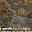 Внимание! Субботник! - Kamensk24.Ru